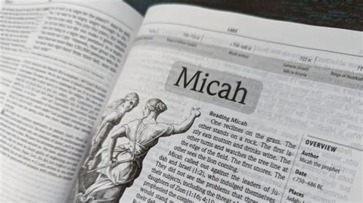 Who Are Micah's Parents From 'Love Is Blind'?